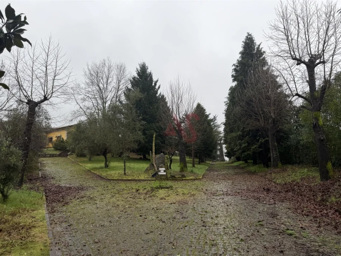 Moradia T5 para Venda em Meinedo Foto 50