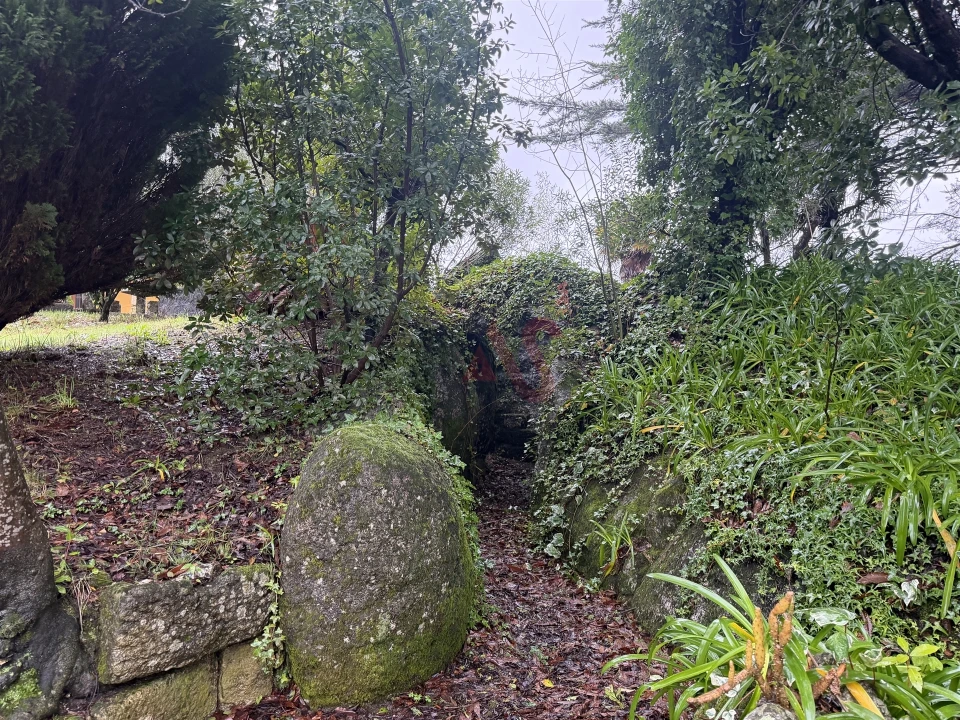 Moradia T5 para Venda em Meinedo Foto 47