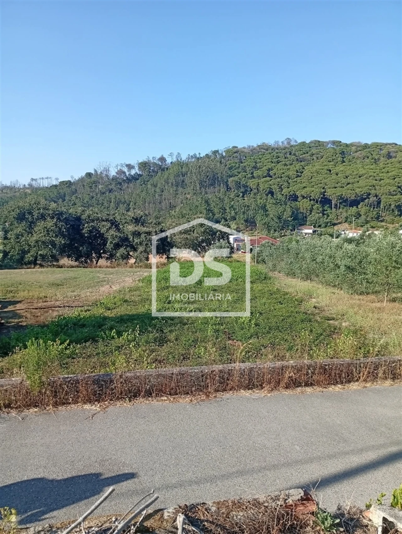 Terreno para Venda em Arrabal Foto 3