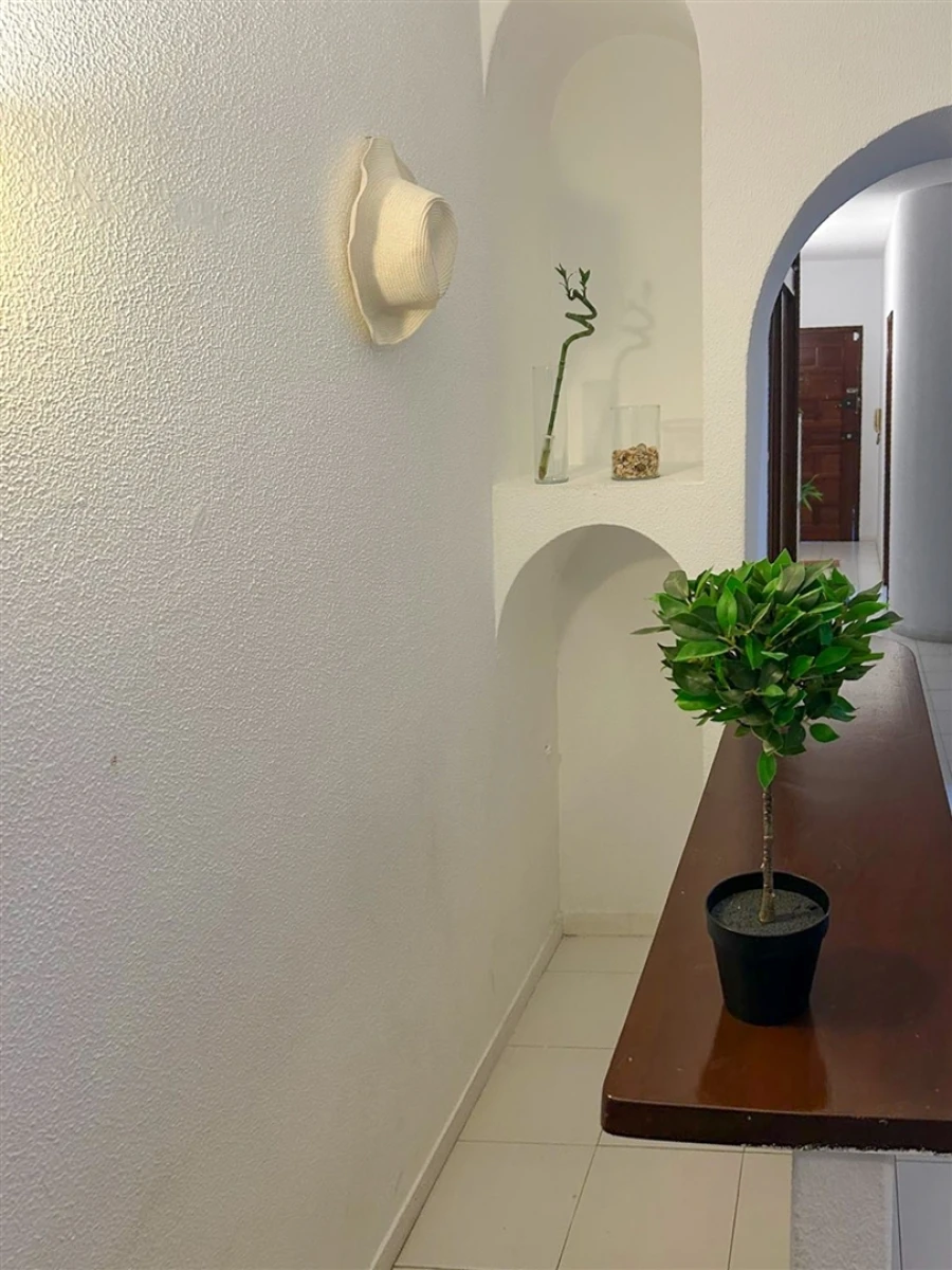 Apartamento T1 para Venda em Albufeira e Olhos de Água Foto 22