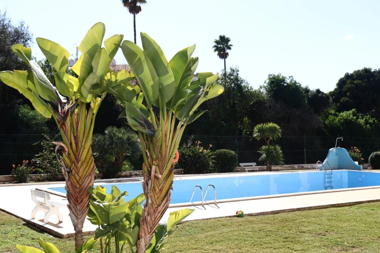 Apartamento T1 para Venda em Albufeira e Olhos de Água Foto 14