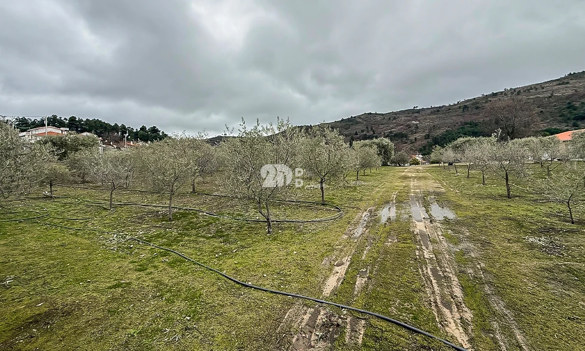 Terreno para Venda em Pinheiros e Vale de Figueira Foto 5