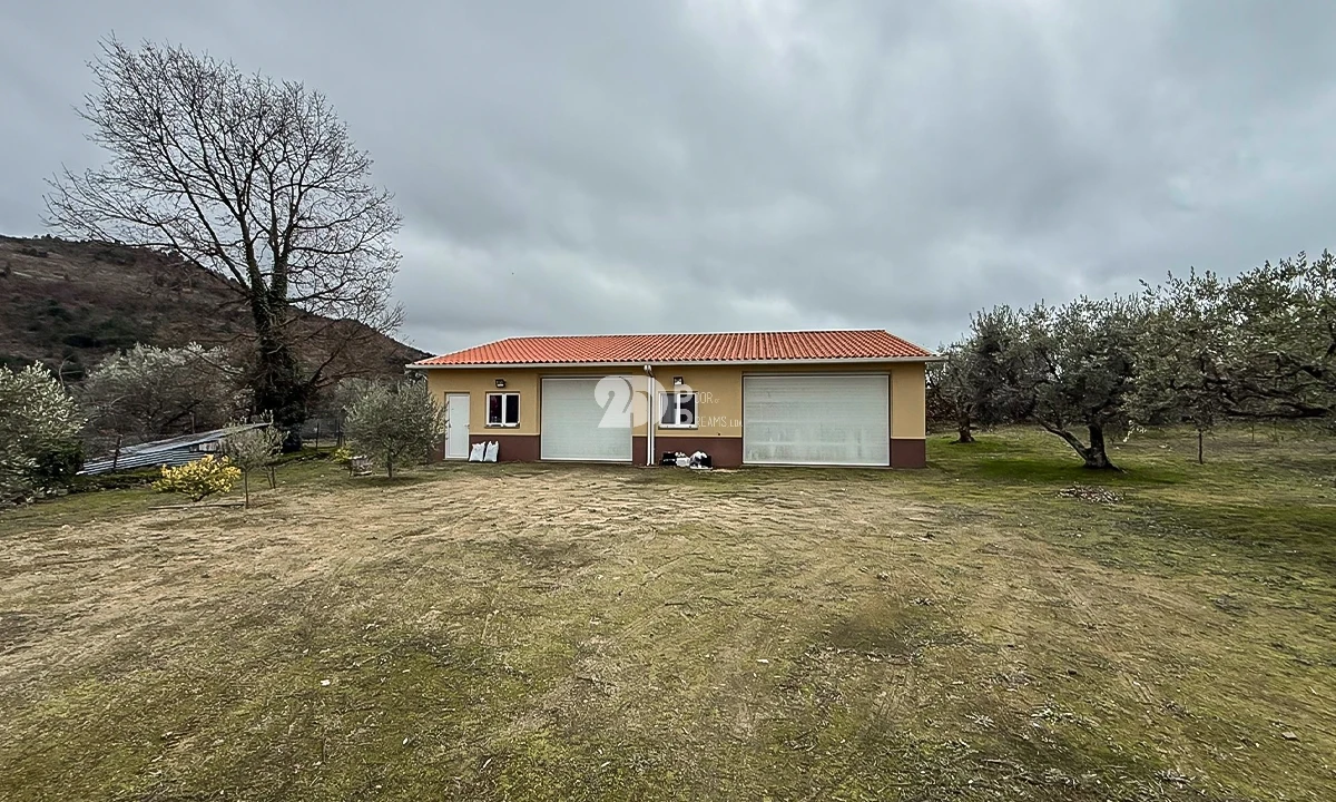 Terreno para Venda em Pinheiros e Vale de Figueira Foto 13