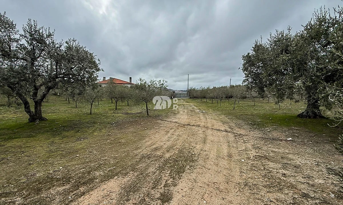 Terreno para Venda em Pinheiros e Vale de Figueira Foto 10