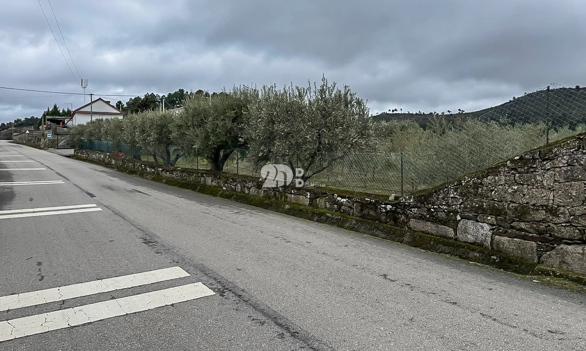 Terreno para Venda em Pinheiros e Vale de Figueira Foto 24