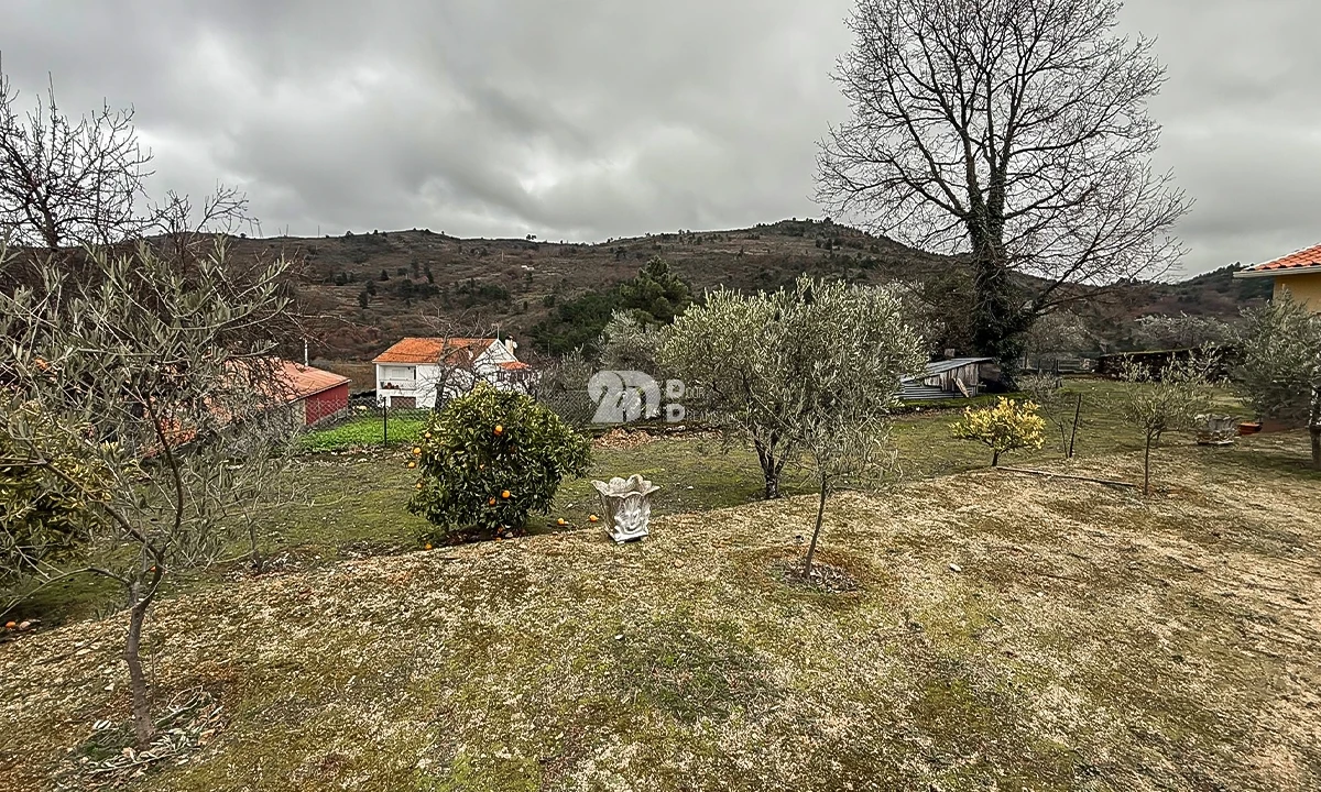 Terreno para Venda em Pinheiros e Vale de Figueira Foto 7