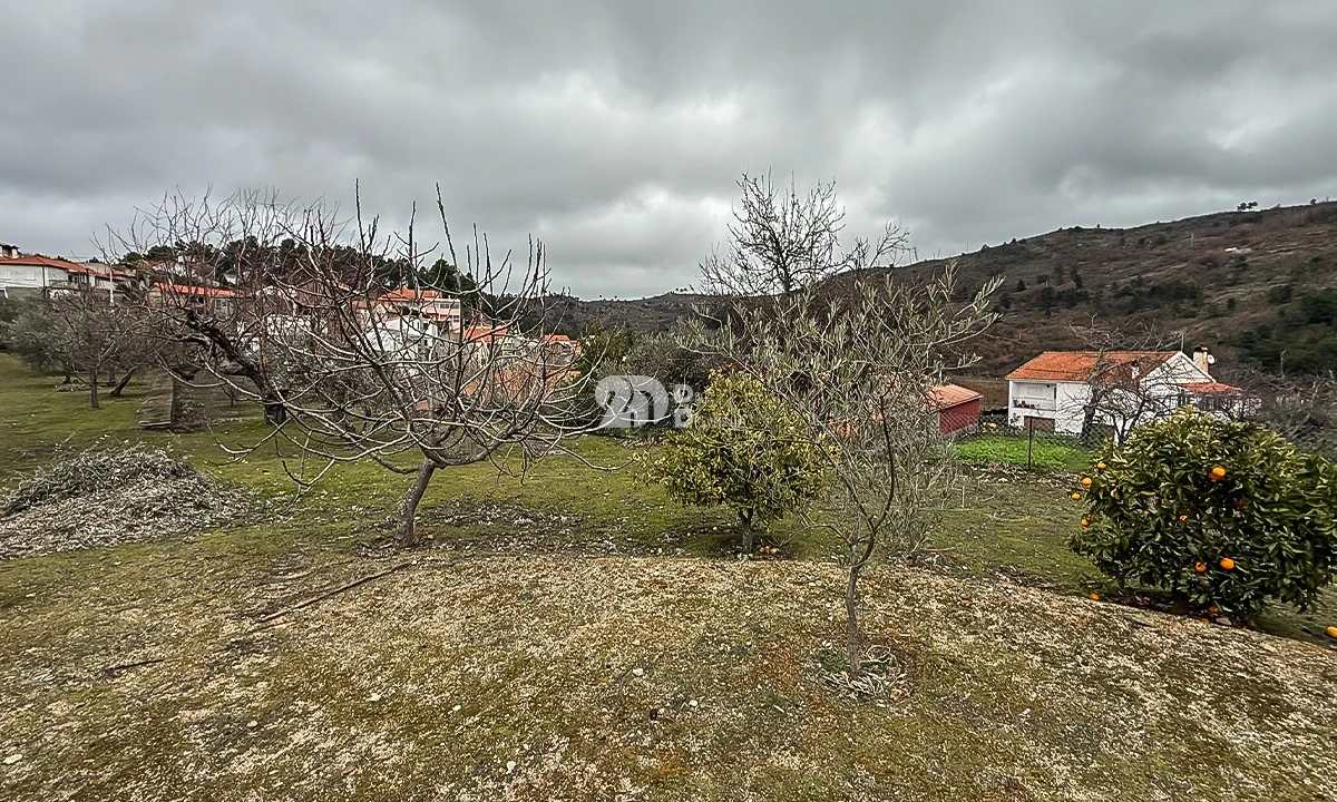 Terreno para Venda em Pinheiros e Vale de Figueira Foto 6