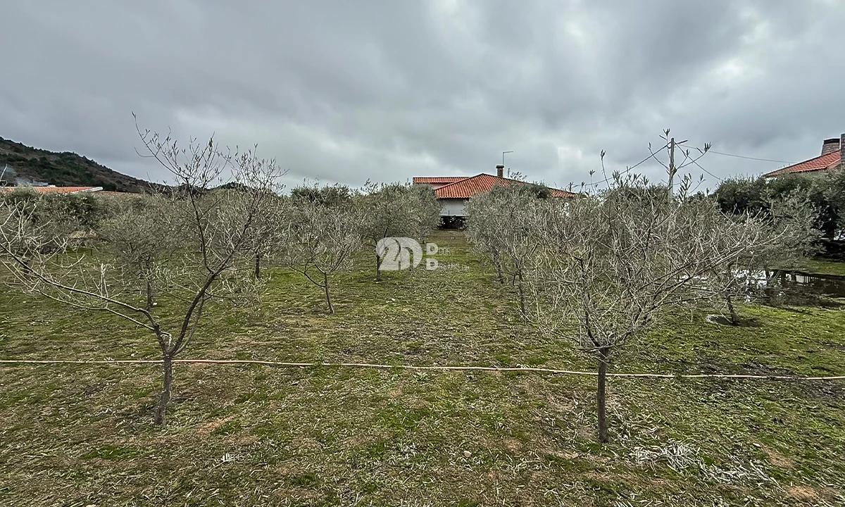 Terreno para Venda em Pinheiros e Vale de Figueira Foto 4
