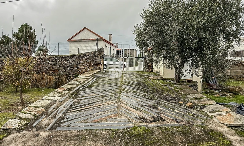 Terreno para Venda em Pinheiros e Vale de Figueira Foto 15