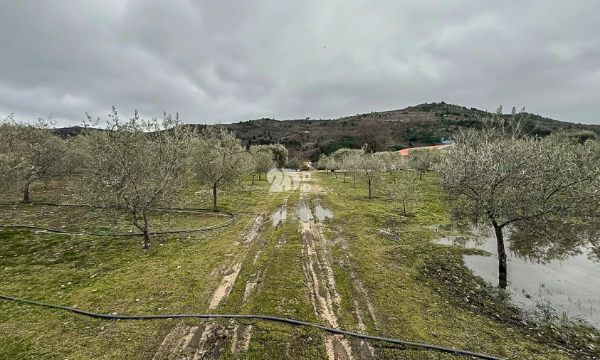 Terreno para Venda em Pinheiros e Vale de Figueira Foto 2