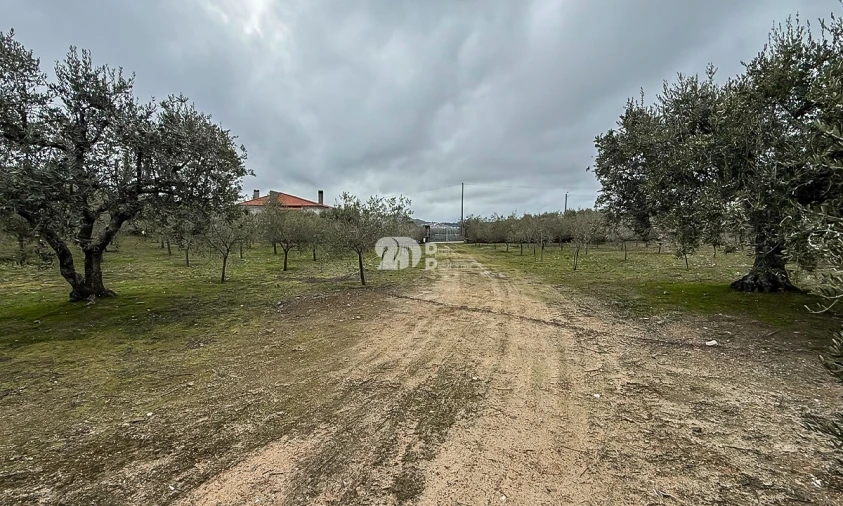 Terreno para Venda em Pinheiros e Vale de Figueira Foto 10