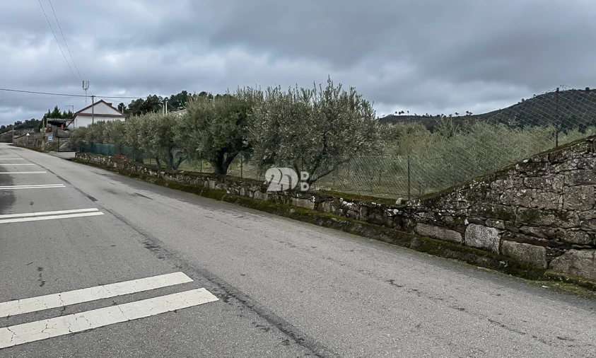 Terreno para Venda em Pinheiros e Vale de Figueira Foto 24