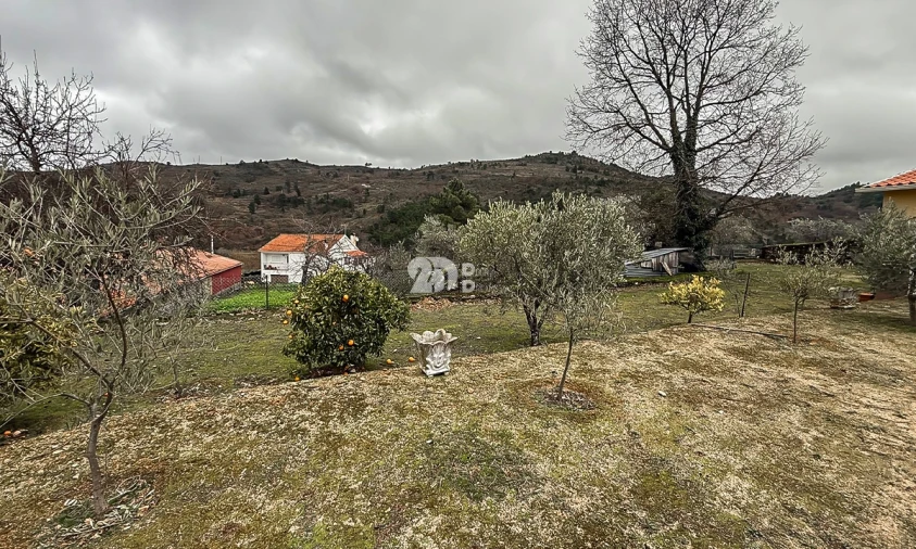 Terreno para Venda em Pinheiros e Vale de Figueira Foto 7