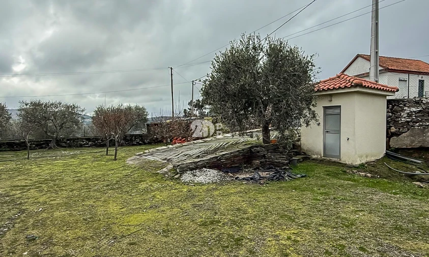 Terreno para Venda em Pinheiros e Vale de Figueira Foto 14