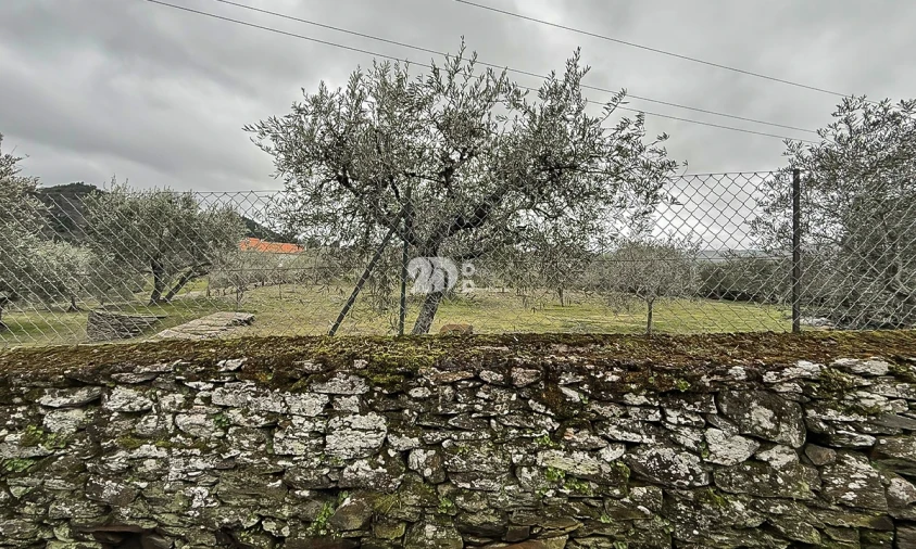 Terreno para Venda em Pinheiros e Vale de Figueira Foto 22