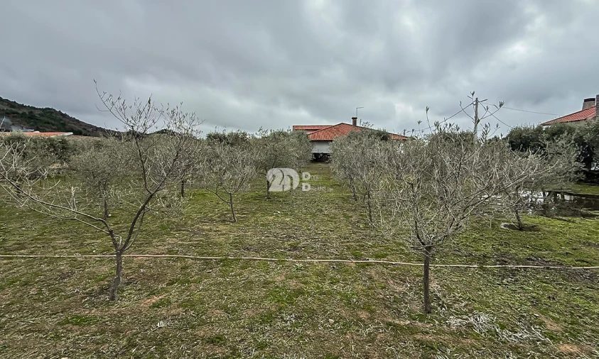 Terreno para Venda em Pinheiros e Vale de Figueira Foto 4
