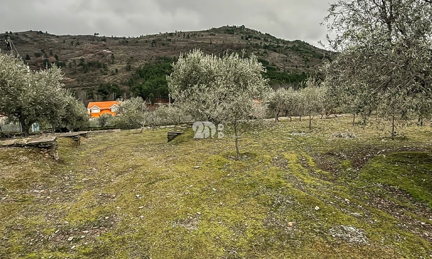 Terreno para Venda em Pinheiros e Vale de Figueira Foto 17