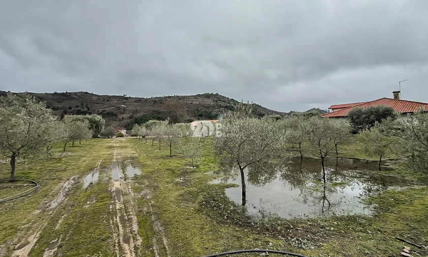 Terreno para Venda em Pinheiros e Vale de Figueira Foto 1