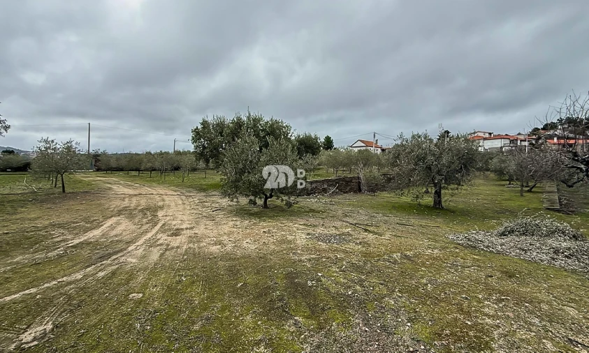 Terreno para Venda em Pinheiros e Vale de Figueira Foto 8