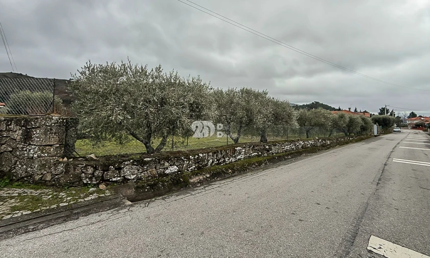 Terreno para Venda em Pinheiros e Vale de Figueira Foto 23