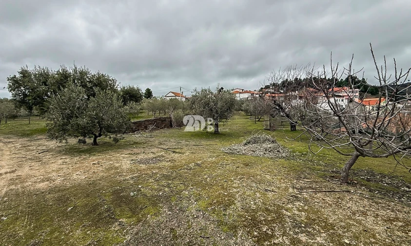 Terreno para Venda em Pinheiros e Vale de Figueira Foto 9