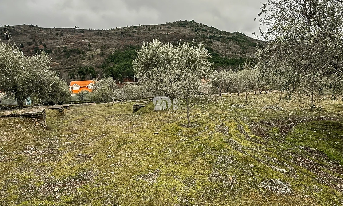 Terreno para Venda em Pinheiros e Vale de Figueira Foto 17