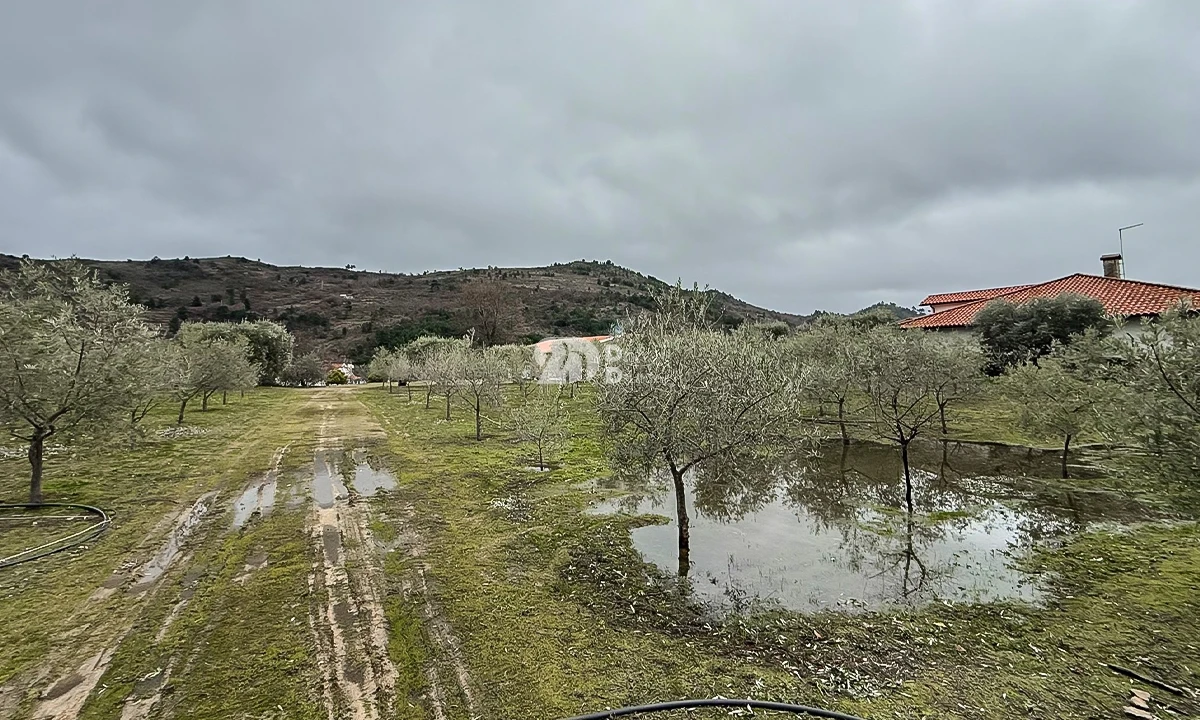 Terreno para Venda em Pinheiros e Vale de Figueira Foto 1