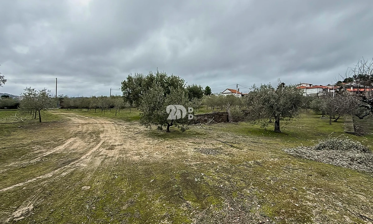 Terreno para Venda em Pinheiros e Vale de Figueira Foto 8