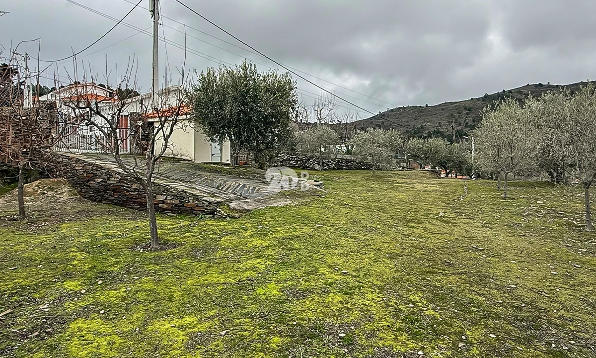 Terreno para Venda em Pinheiros e Vale de Figueira Foto 19