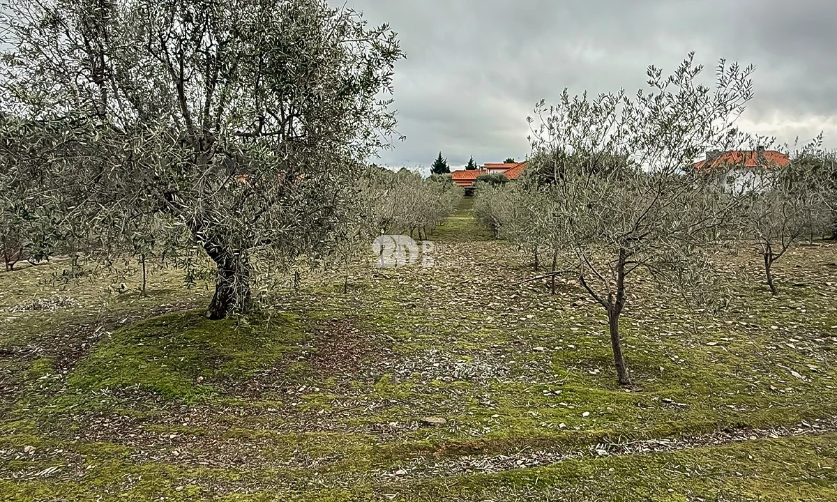 Terreno para Venda em Pinheiros e Vale de Figueira Foto 16