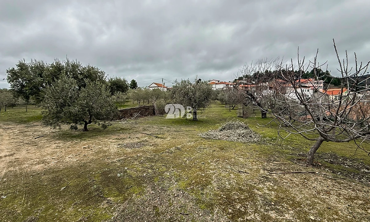Terreno para Venda em Pinheiros e Vale de Figueira Foto 9