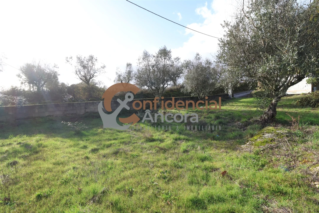 Quinta T0 para Venda em Rio Torto e Lagarinhos Foto 7