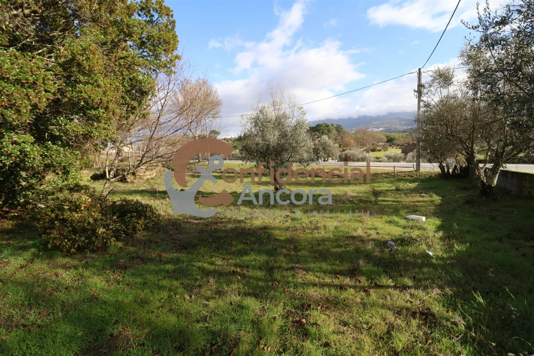 Quinta T0 para Venda em Rio Torto e Lagarinhos Foto 2