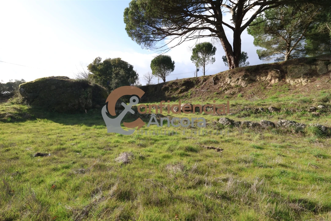 Quinta T0 para Venda em Rio Torto e Lagarinhos Foto 3