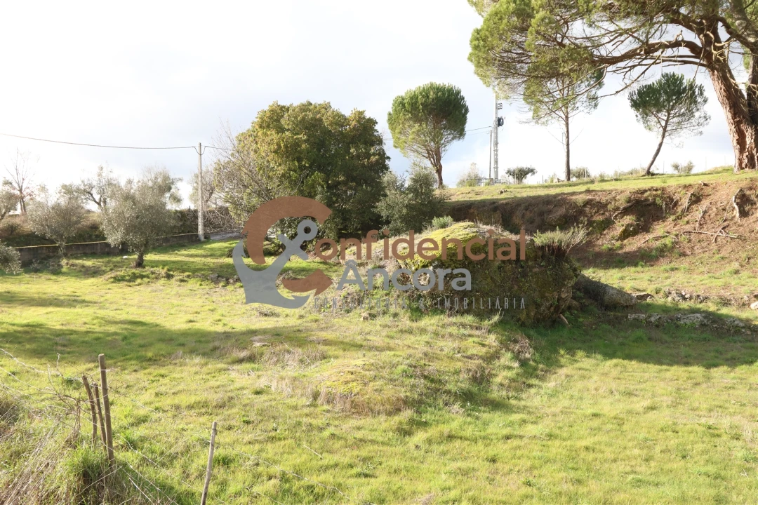 Quinta T0 para Venda em Rio Torto e Lagarinhos Foto 14