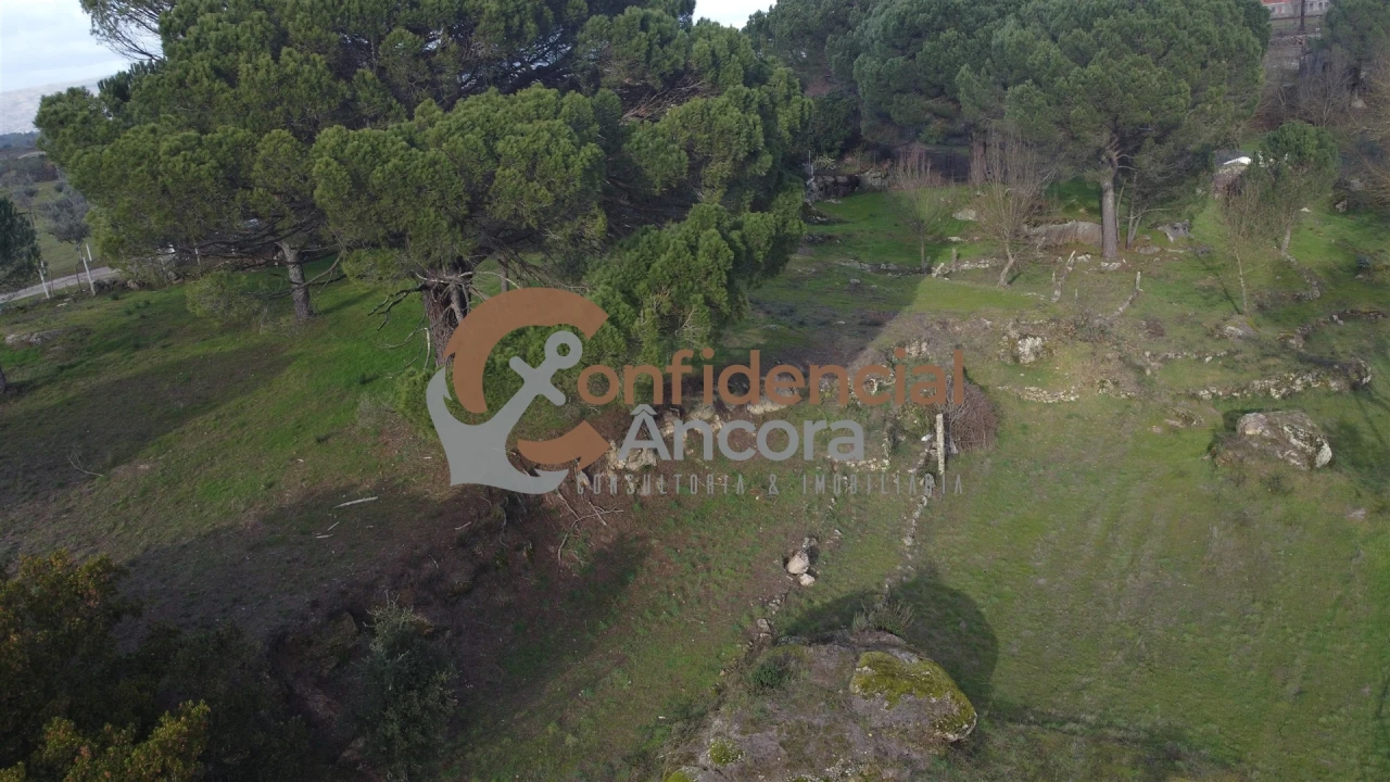 Quinta T0 para Venda em Rio Torto e Lagarinhos Foto 40