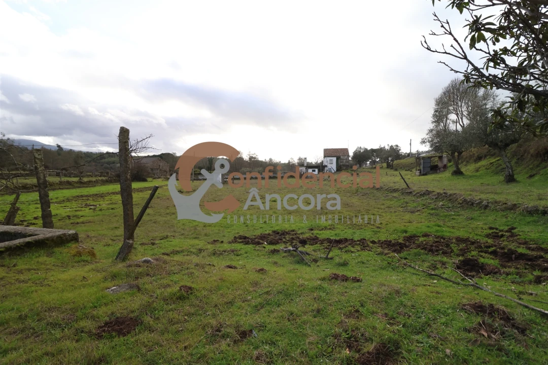 Quinta T0 para Venda em Rio Torto e Lagarinhos Foto 24