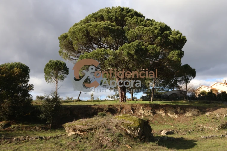 Quinta T0 para Venda em Rio Torto e Lagarinhos Foto 13