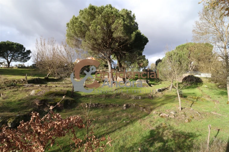Quinta T0 para Venda em Rio Torto e Lagarinhos Foto 15