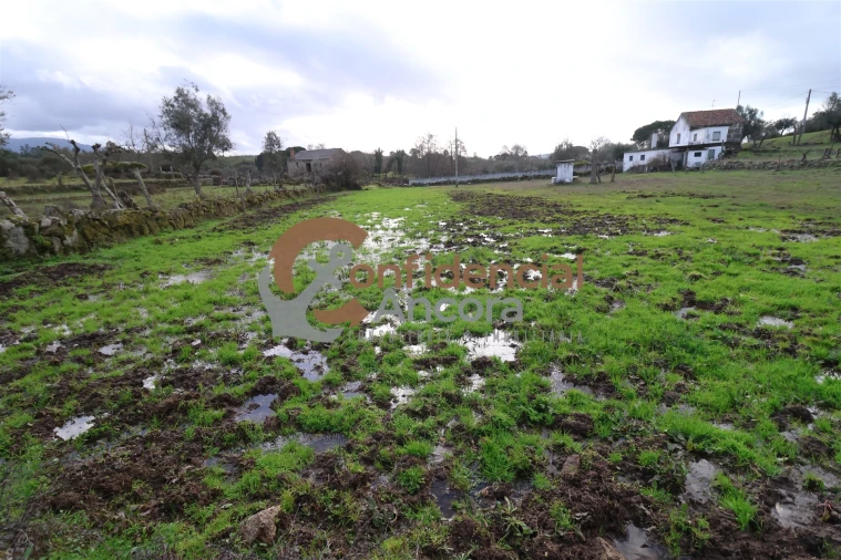 Quinta T0 para Venda em Rio Torto e Lagarinhos Foto 26