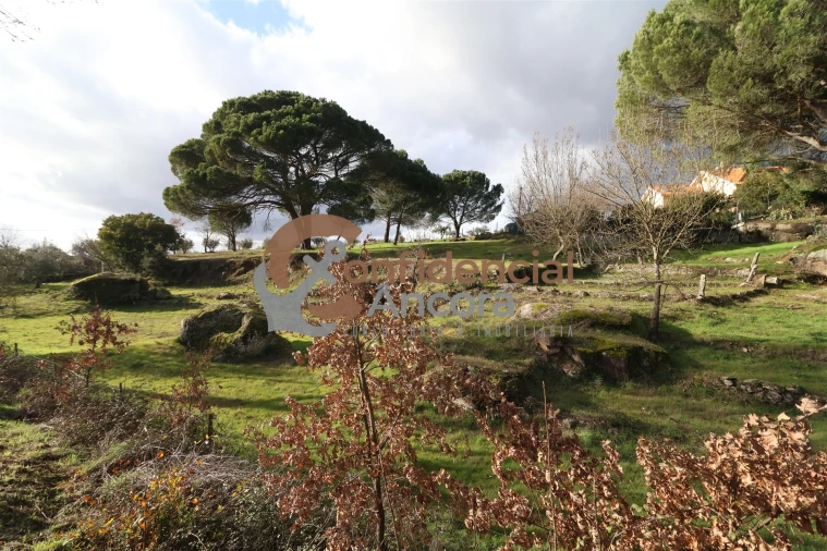 Quinta T0 para Venda em Rio Torto e Lagarinhos Foto 16
