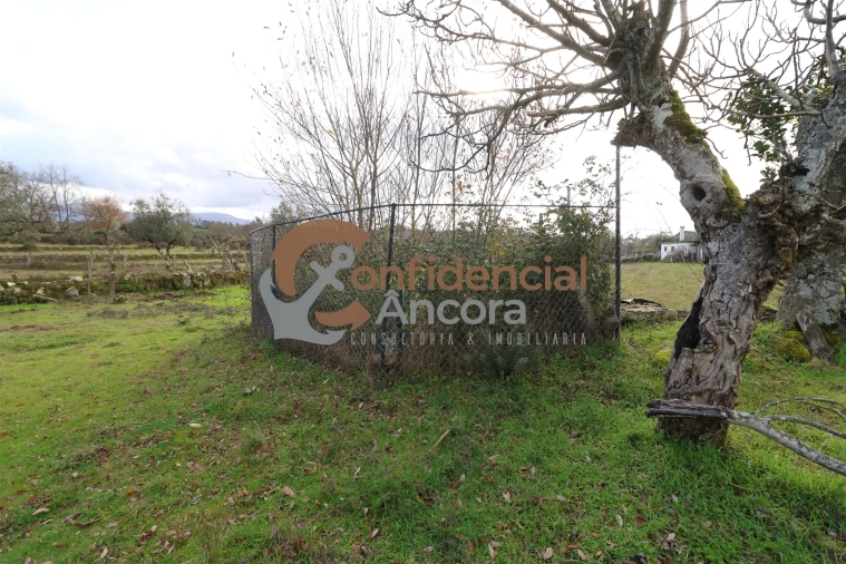 Quinta T0 para Venda em Rio Torto e Lagarinhos Foto 25