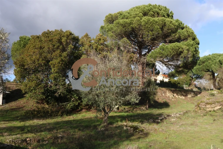 Quinta T0 para Venda em Rio Torto e Lagarinhos Foto 11