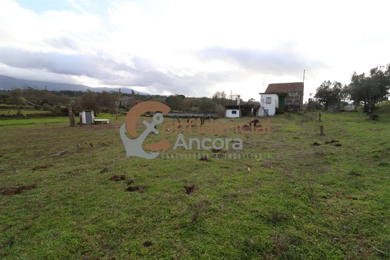 Quinta T0 para Venda em Rio Torto e Lagarinhos Foto 21