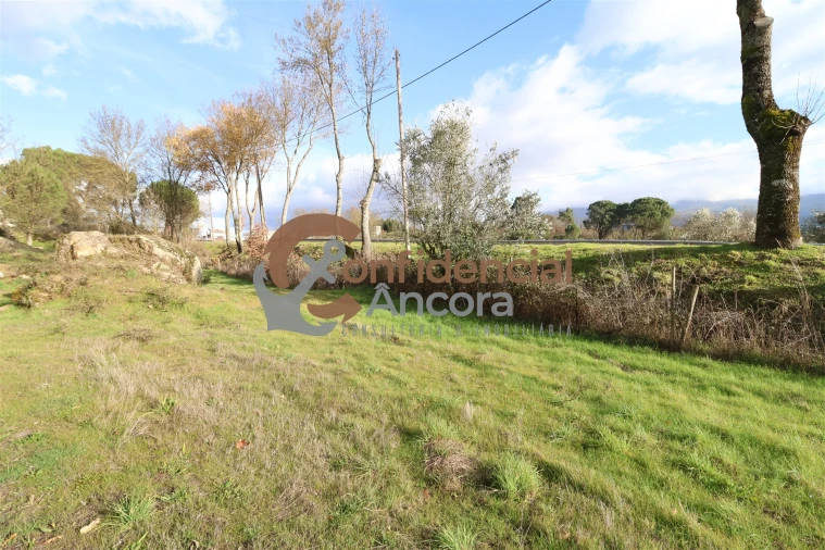 Quinta T0 para Venda em Rio Torto e Lagarinhos Foto 5