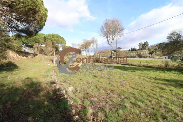 Quinta T0 para Venda em Rio Torto e Lagarinhos Foto 8