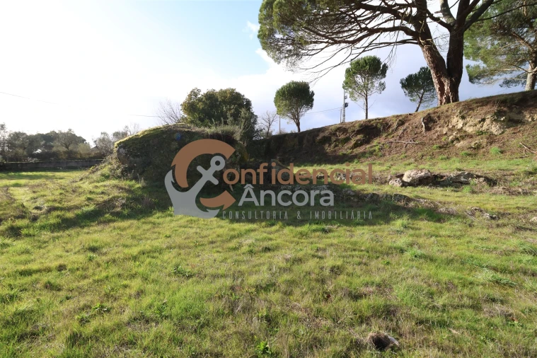 Quinta T0 para Venda em Rio Torto e Lagarinhos Foto 6