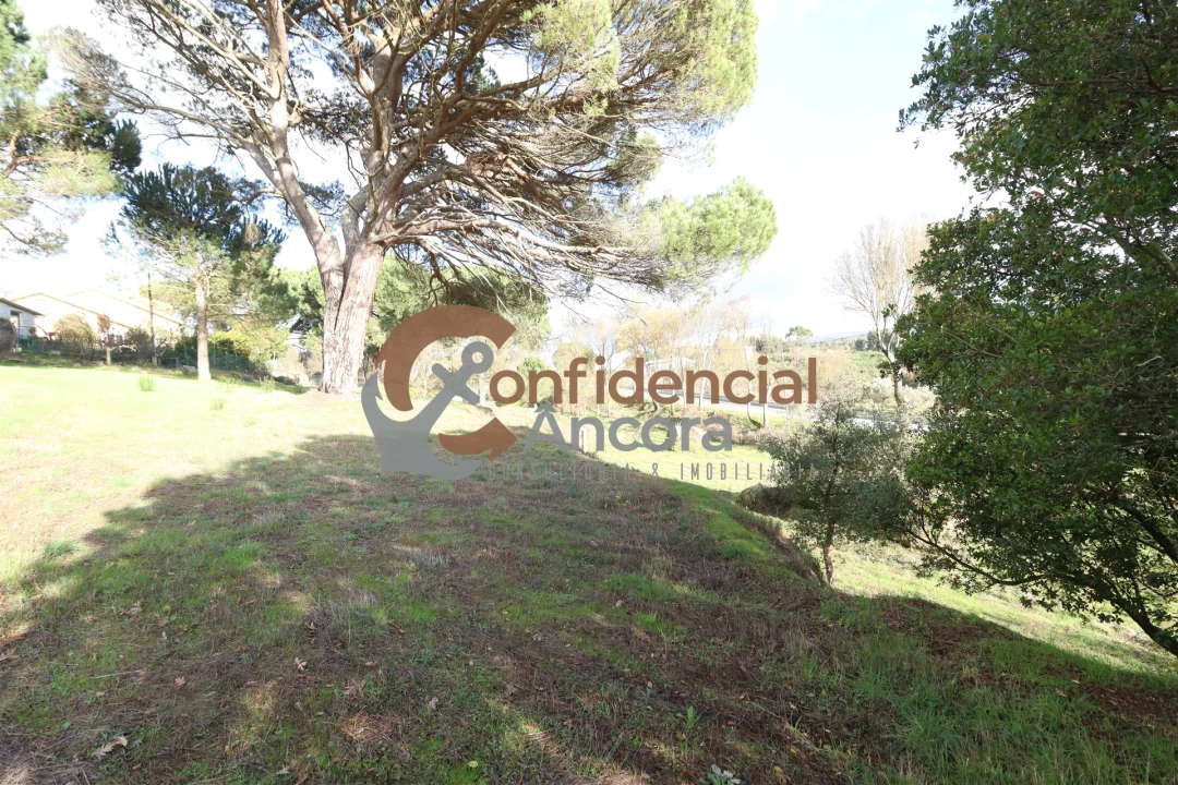 Quinta T0 para Venda em Rio Torto e Lagarinhos Foto 9