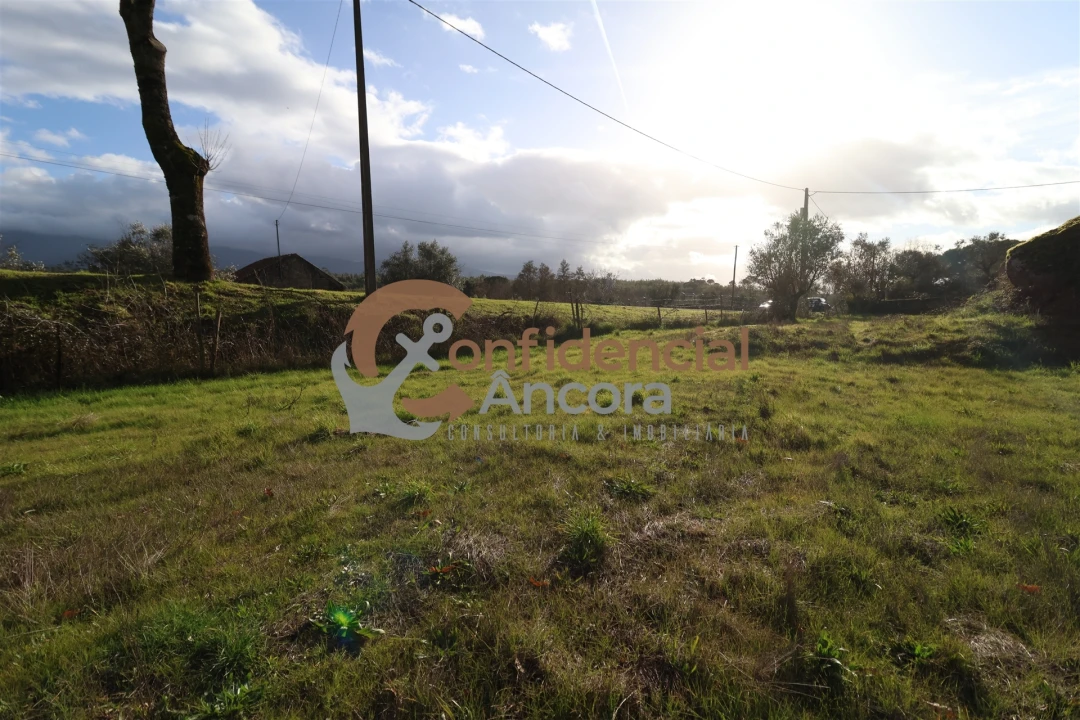 Quinta T0 para Venda em Rio Torto e Lagarinhos Foto 4