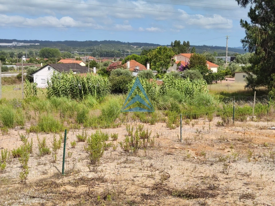 Terreno para Venda em Pelariga Foto 18
